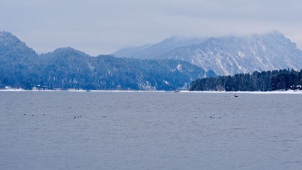 Телецкое озеро. Декабрь 2024 года