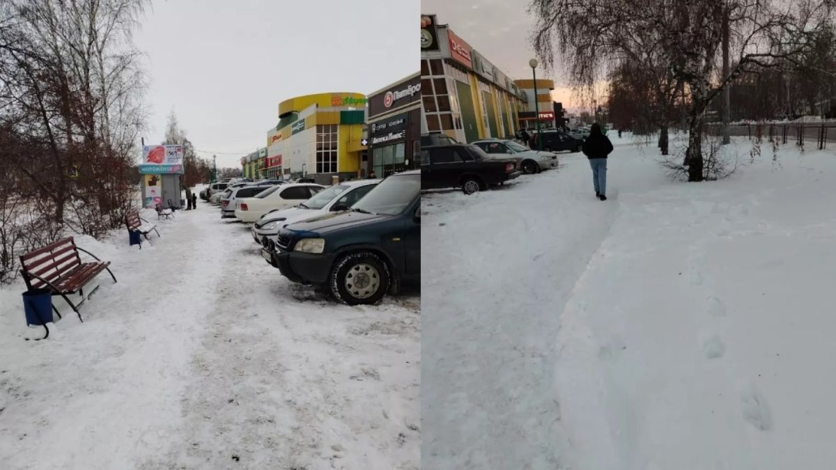 Скамейки в Бийске