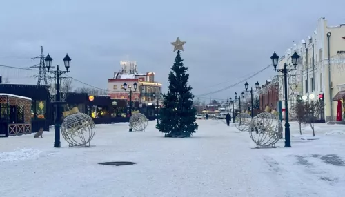 Новогодняя ель и первые украшения появились на барнаульском Арбате