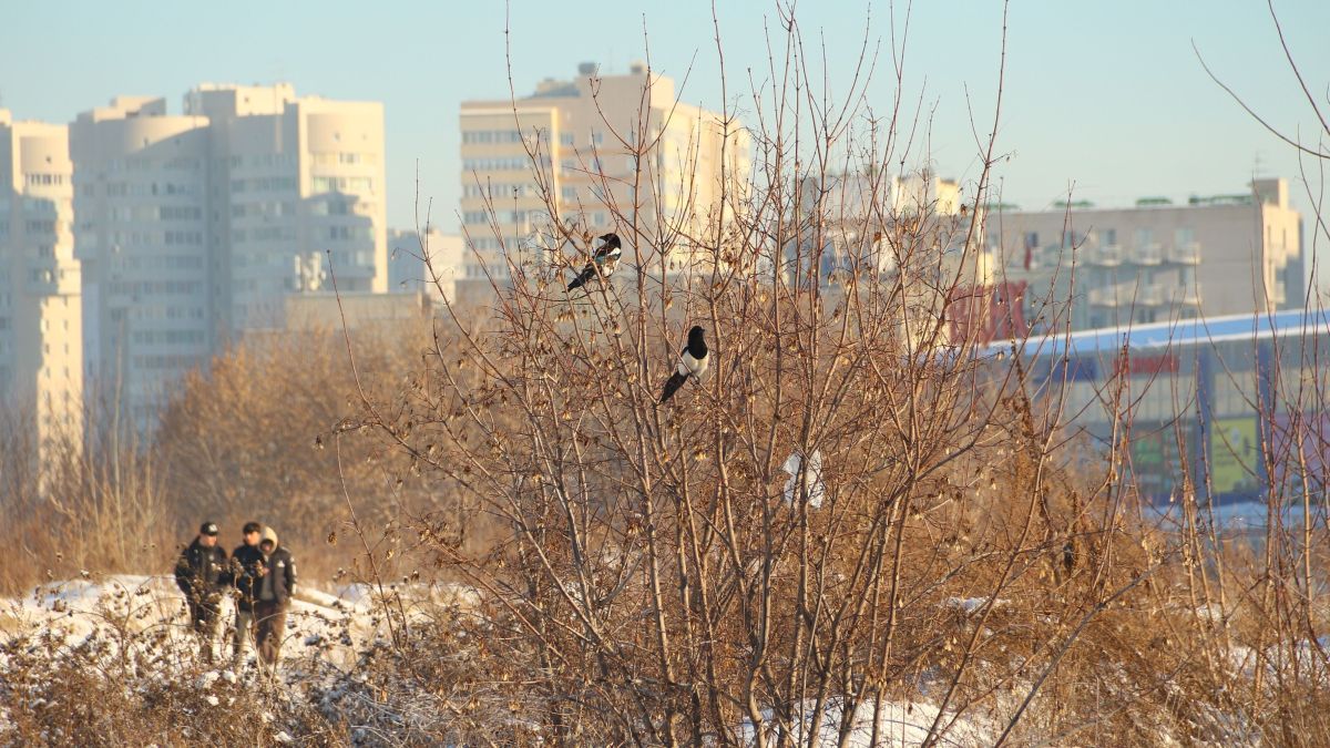 Недвижимость. Строительство