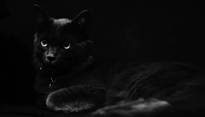 Когда следующая пятница, 13-е, и каких опасностей ждать от зловещей даты