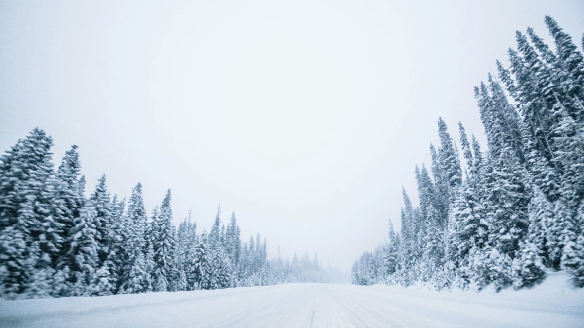 Трасса, дорога, зима