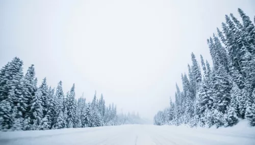 Жителей Алтайского края предупредили о возможных перекрытиях дорог
