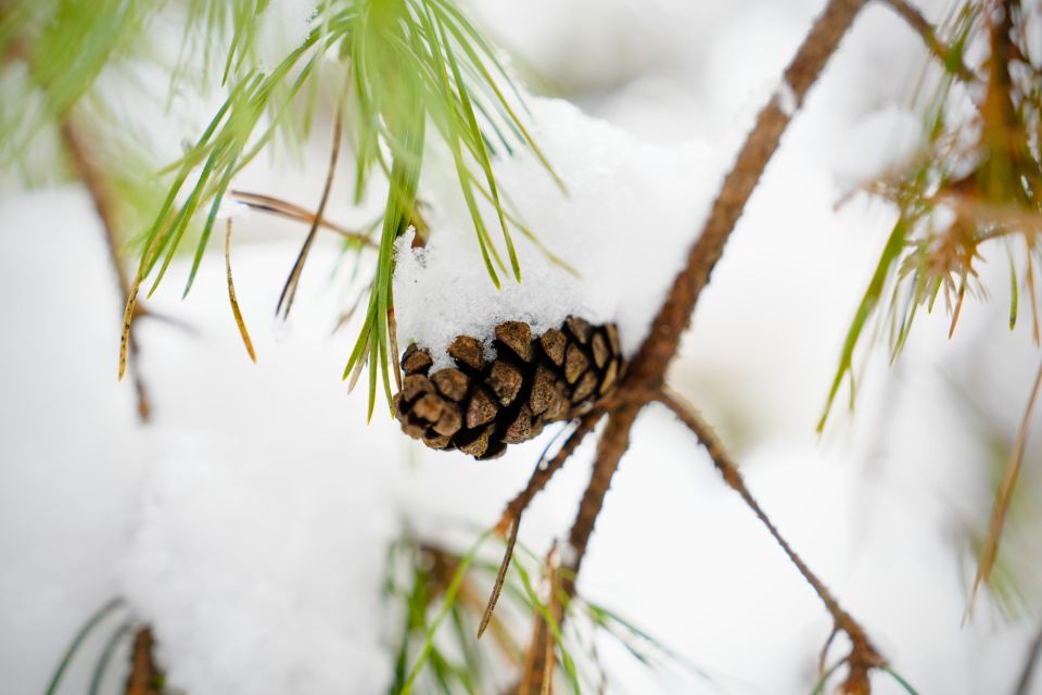Погода. Зима. Снег.