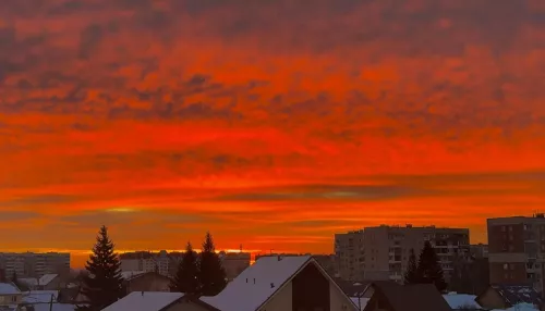 Впечатляющий алый рассвет встретили жители Барнаула. Фото