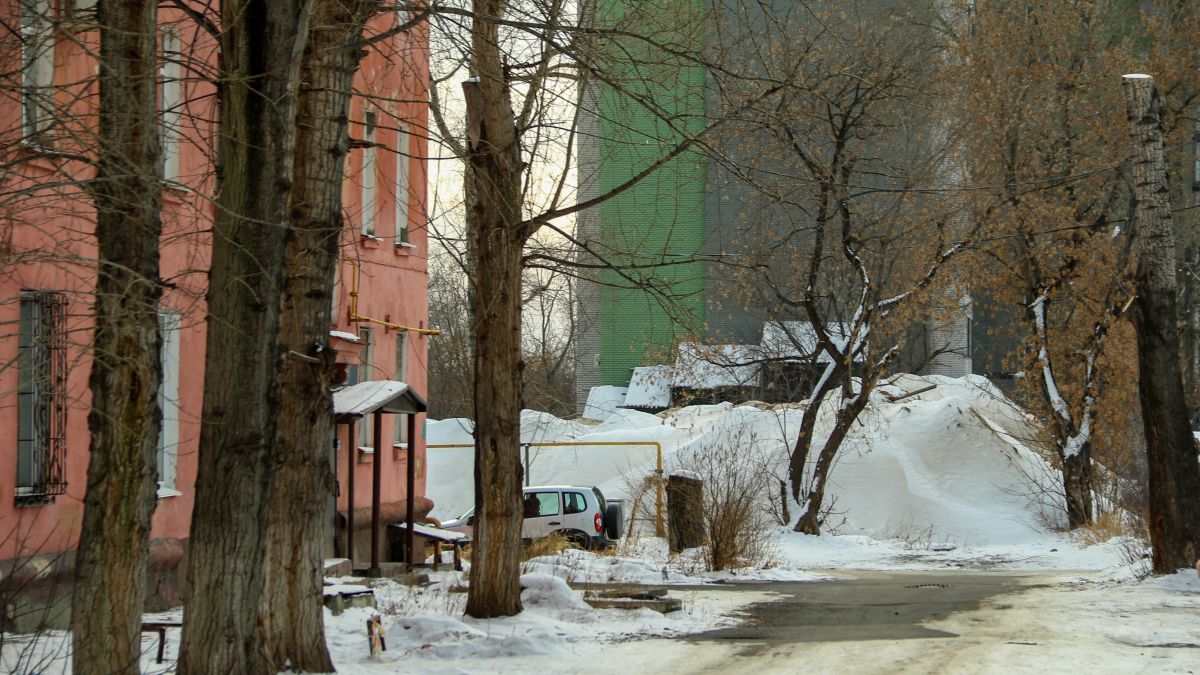 Барнаульский поток