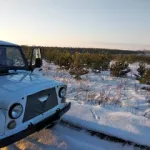 В Алтайском крае предотвращают незаконную вырубку хвойных деревьев к Новому году