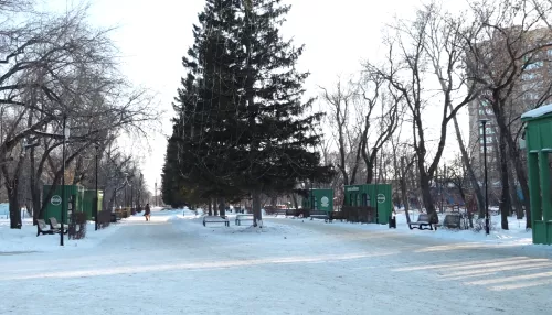 Барнаульские парки готовят новогодние программы: что ждет гостей