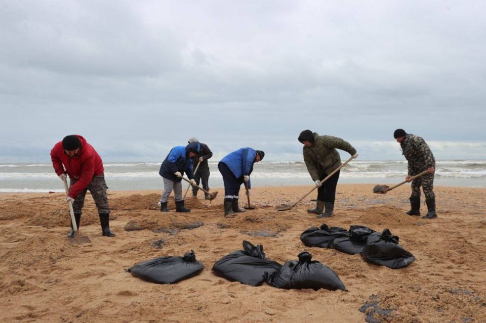 Очистка побережья в Краснодарском крае