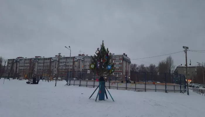 В сибирском городе установили пробник новогодней елки