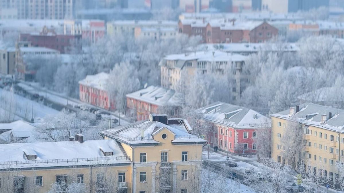 Барнаул. Зима. Изморозь