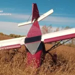Пилота оштрафовали после крушения самолета в Алтайском крае