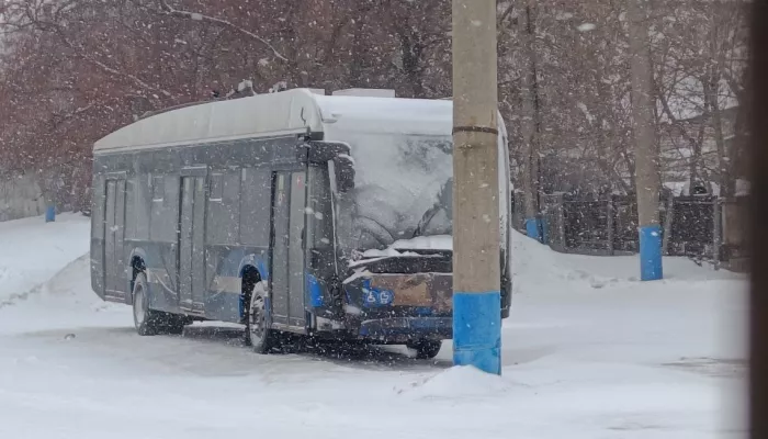 Барнаульцы заметили на улице новый троллейбус Авангард. Фото