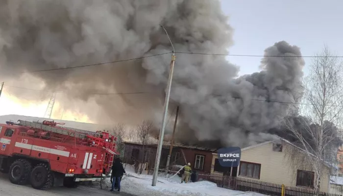 Крупный пожар охватил жилой дом в барнаульском поселке