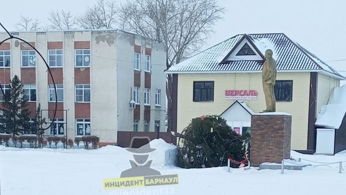 Упавшая елка в селе Хабары