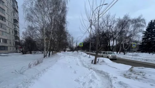 Жители Алтайского края жалуются на нечищенные от снега дороги. Видео