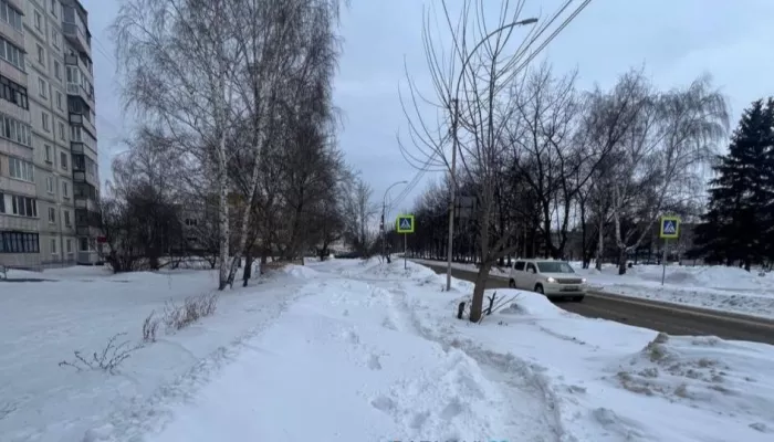 Жители Алтайского края жалуются на нечищенные от снега дороги. Видео