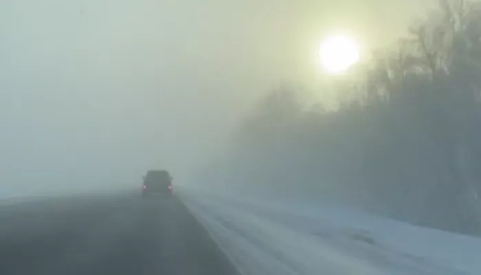 На трассе Барнаул-Бийск плохая видимость из-за тумана. Видео