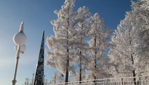 Зима возьмет паузу: синоптик рассказал, когда в Россию придут настоящие морозы