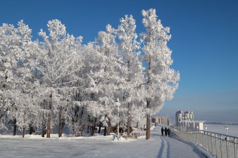 Барнаул. Зима. Иней