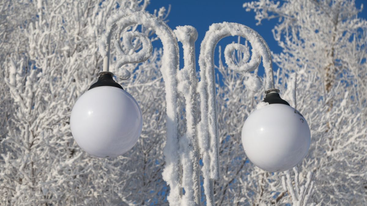 Барнаул. Зима. Иней