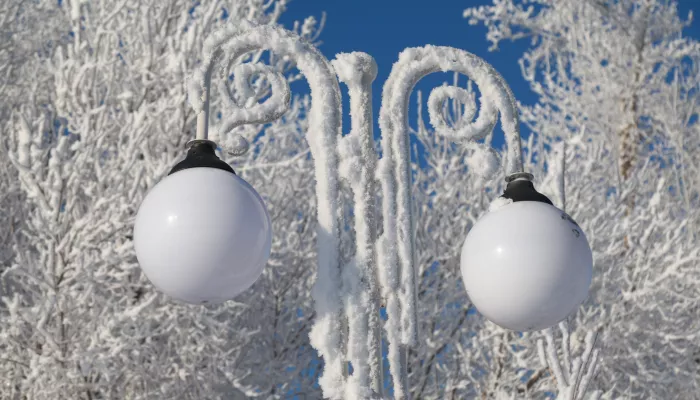 Когда ждать морозов до -41 градуса в Алтайском крае и сколько они могут продлиться