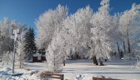 Крещенские морозы под -35 градусов ударят по Алтайскому краю