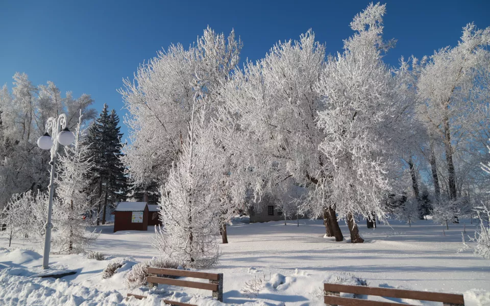Крещенские морозы под -35 градусов ударят по Алтайскому краю