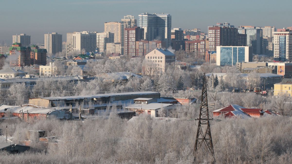 Барнаул. Зима. Иней