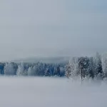 Молочная река: густой туман превратил Бию в Горном Алтае в сказочное место. Фото