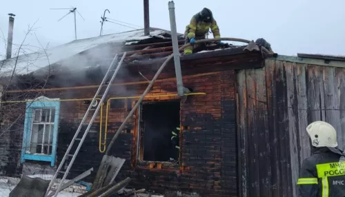 В Алтайском крае женщина погибла при пожаре из-за неосторожной готовки еды