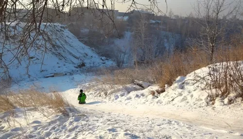 Уровень земли в живописном логу в Бийске решили поднять с помощью свалки