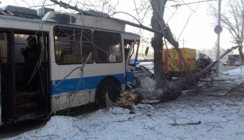 Троллейбус снес дерево на площади Октября в Барнауле - есть пострадавшие