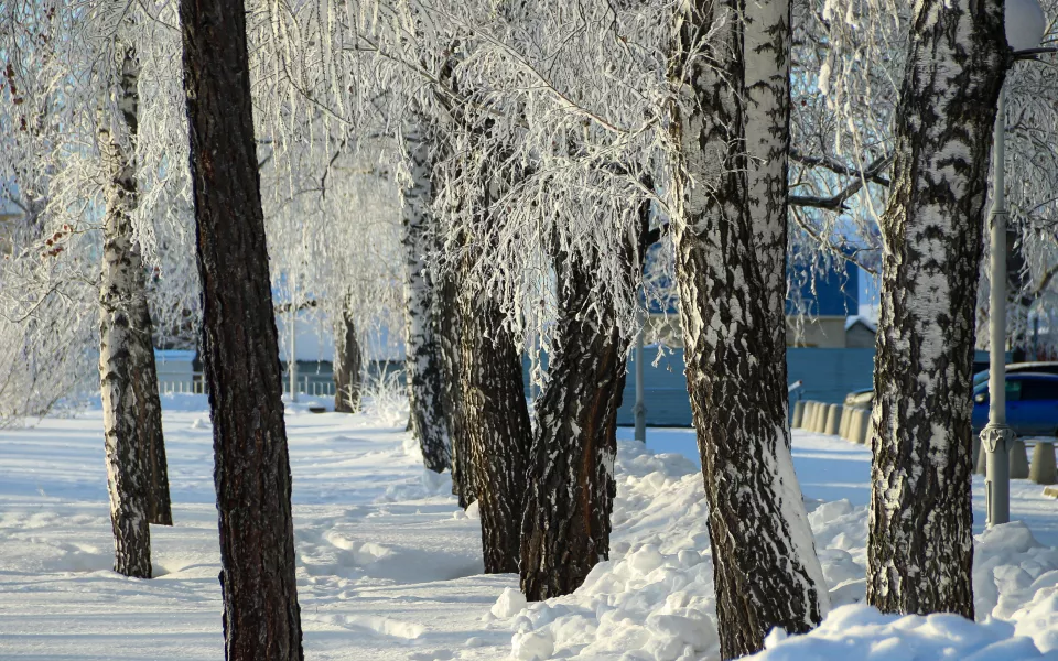 Снег и похолодание: какая погода будет в Алтайском крае в последний день января