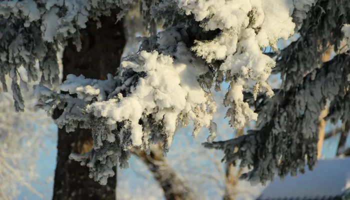 От -34 до -20 градусов: в Алтайском крае еще стоят холода, но потепление близко