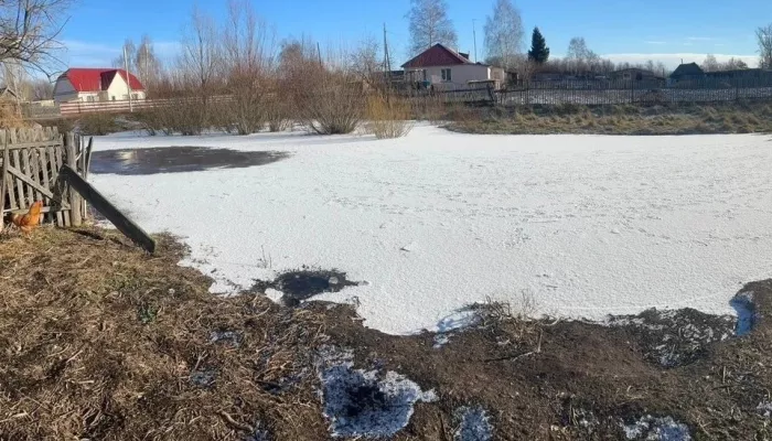 Жительницу алтайского села судят за смерть утонувшей в луже двухлетней дочери