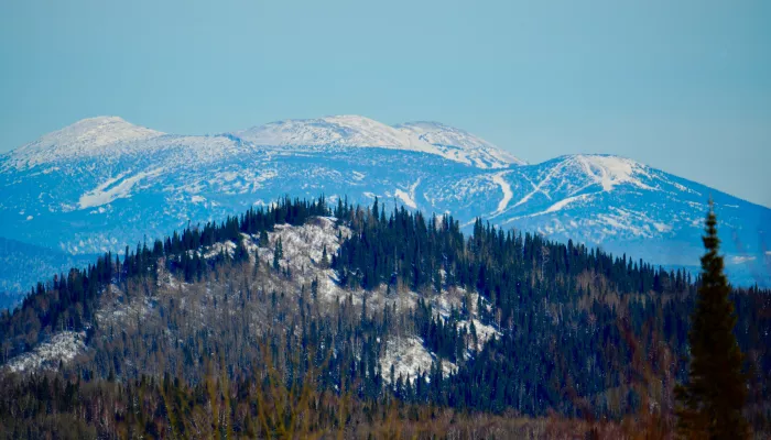 Из гор – в горы: как выглядит зимний путь из прителецкой тайги до Шерегеша. Фото