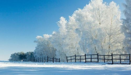 Февраль начинается с настоящих сибирских морозов в регионе