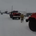 Алтайские пожарные спасли котенка из полыхающего дома