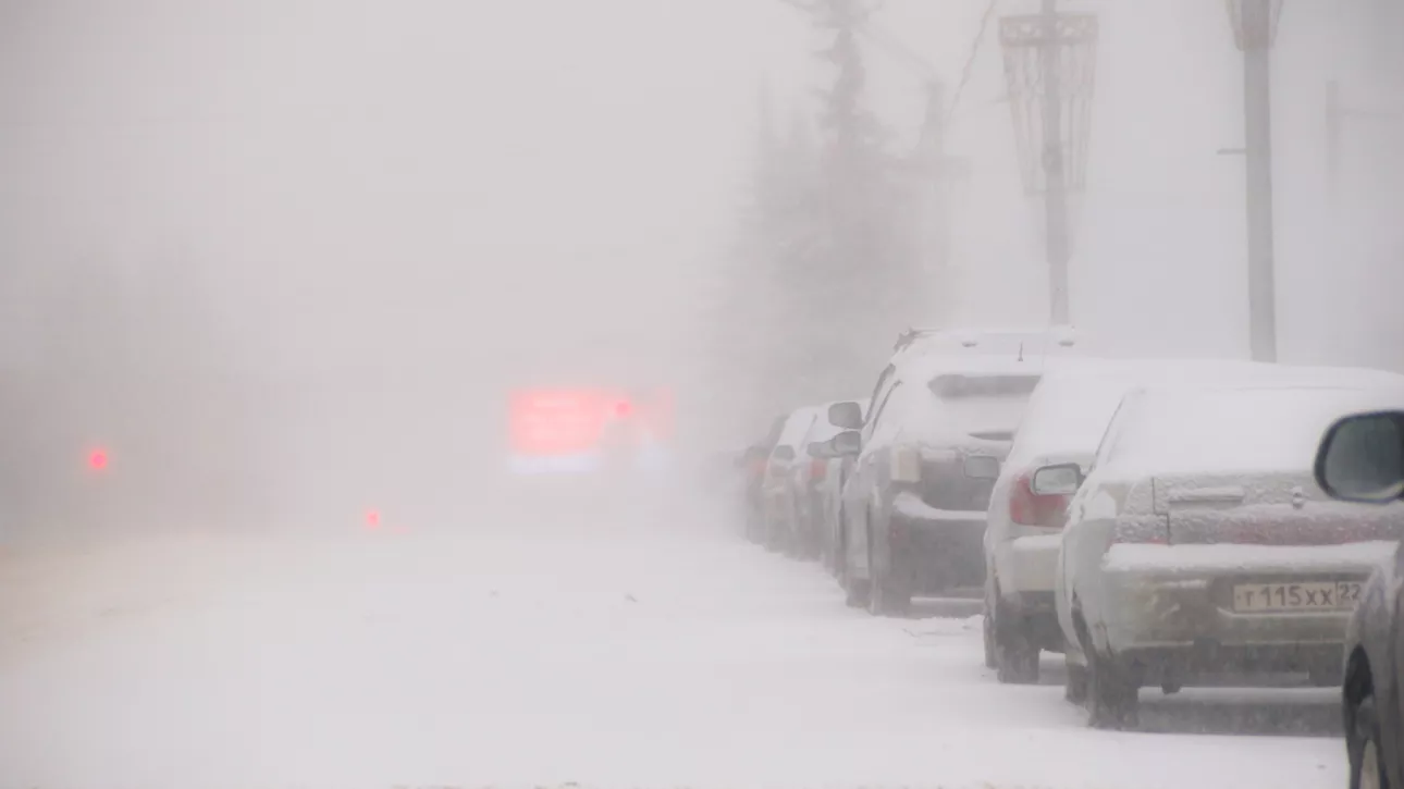 Штормовые метели с потеплением до +5 градусов нагрянут в Алтайский край