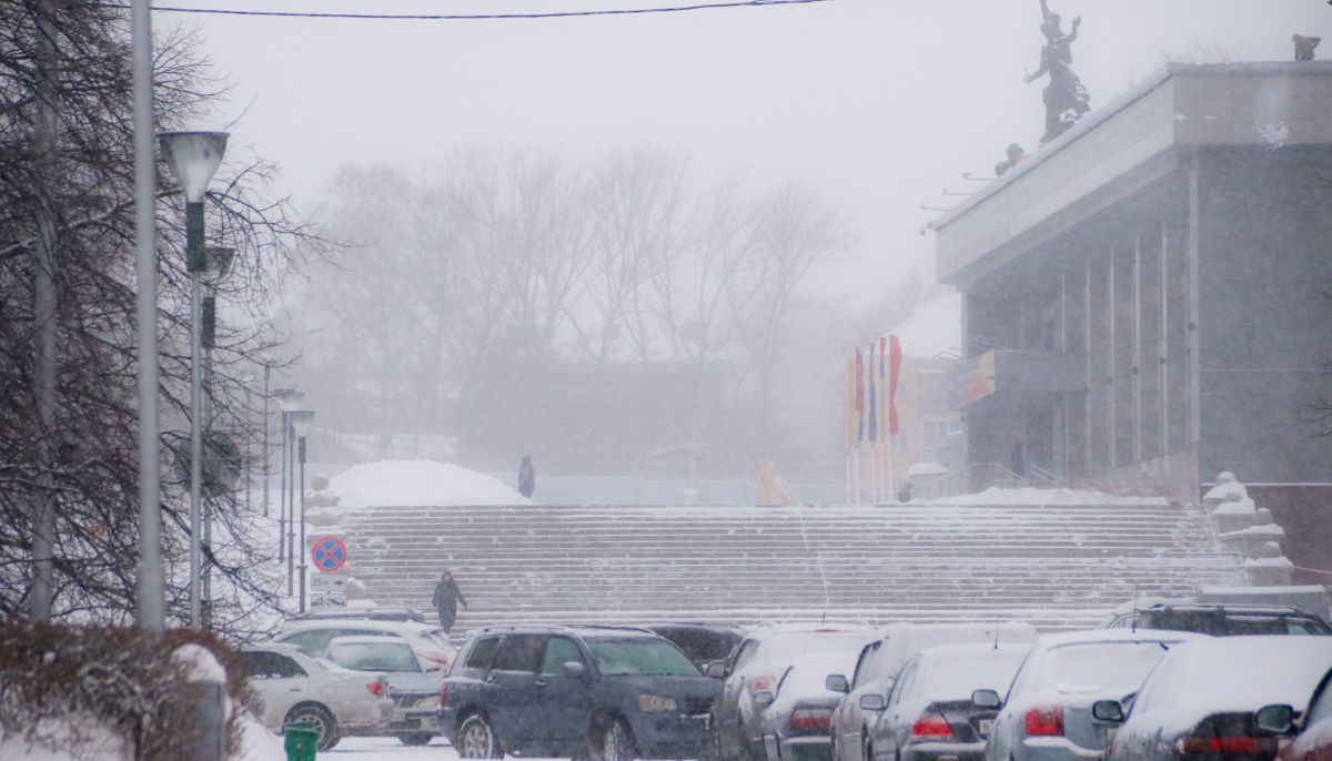 Как выглядит Барнаул в метель 21 января. Фоторепортаж - Толк 21.01.2025