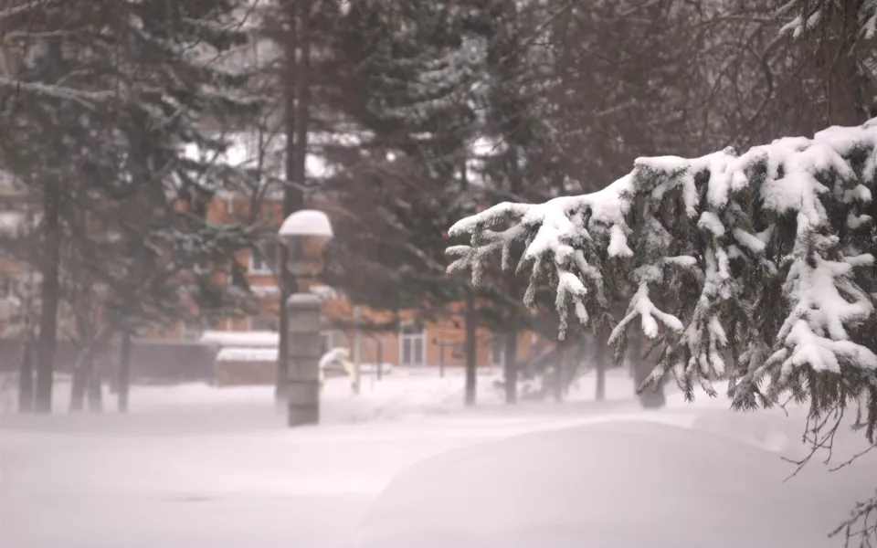 Стало известно, когда в Алтайский край придет потепление