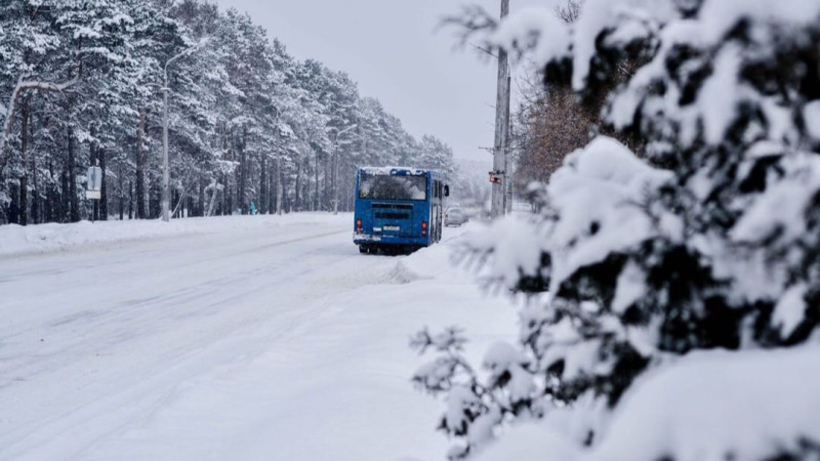 Автобус с пассажирами замерз на трассе возле Барнаула - Толк 01.02.2019