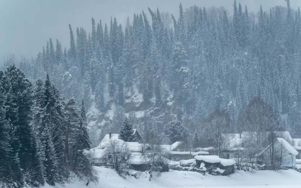 Зимняя сказка: как выглядит заснеженный Турочак в конце января. Фото