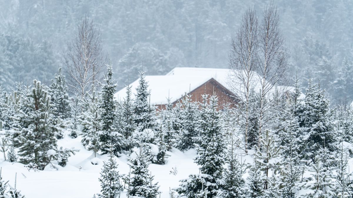 Турочак в разгар зимы
