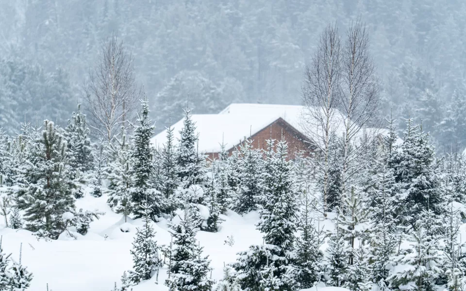 Республика Алтай попала в топ-10 по числу бронирований загородных домов на Новый год