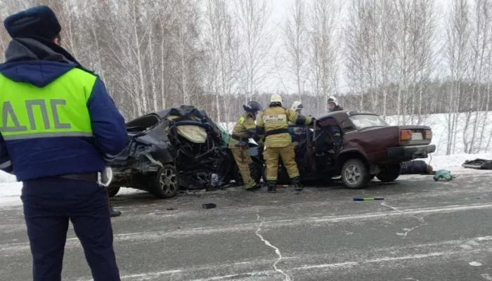 Пять человек погибли в аварии в Новосибирской области