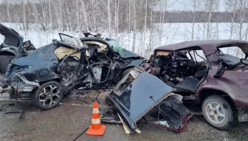 Стали известны подробности аварии с пятью погибшими под Новосибирском. Видео