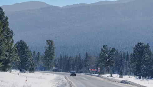 Километры вверх и вниз: как выглядит Семинский перевал в Горном Алтае зимой. Фото