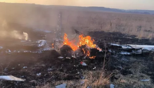 Опытные пилоты погибли в Подмосковье при крушении самолета